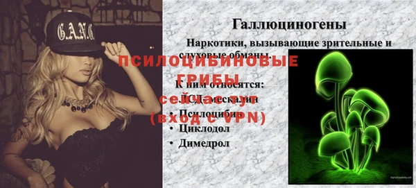 тгк Алзамай