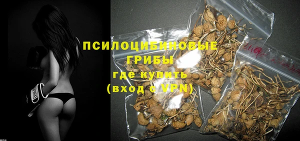 тгк Алзамай