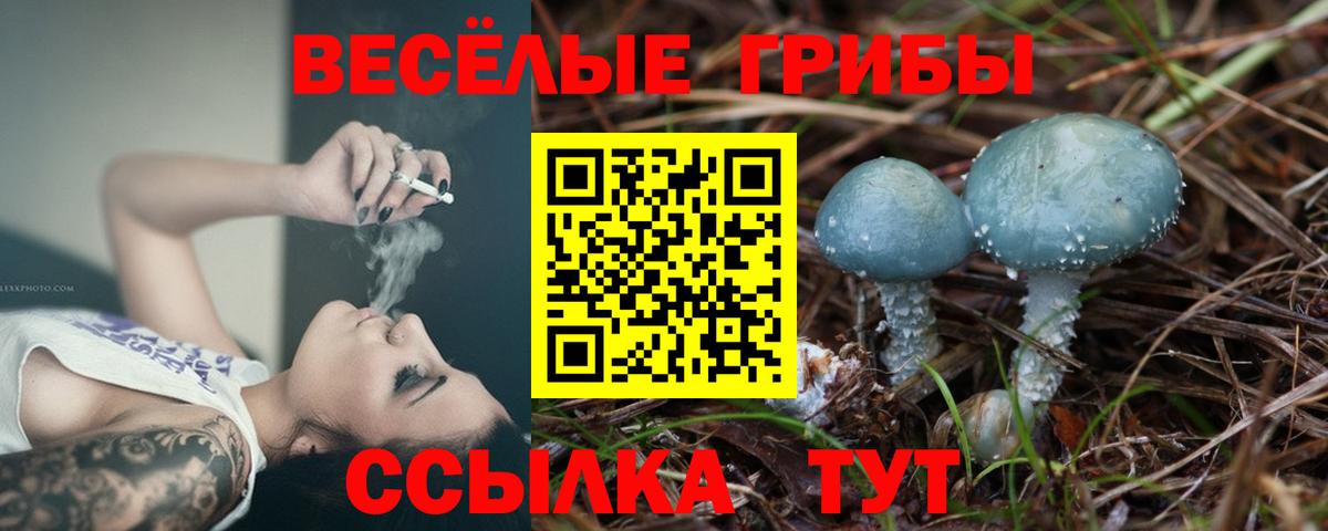 Псилоцибиновые грибы прущие грибы  Вход с VPN  Феодосия 